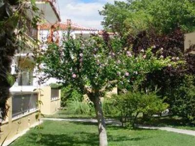 Skála Foúrkas Ioli Apartments מראה חיצוני תמונה